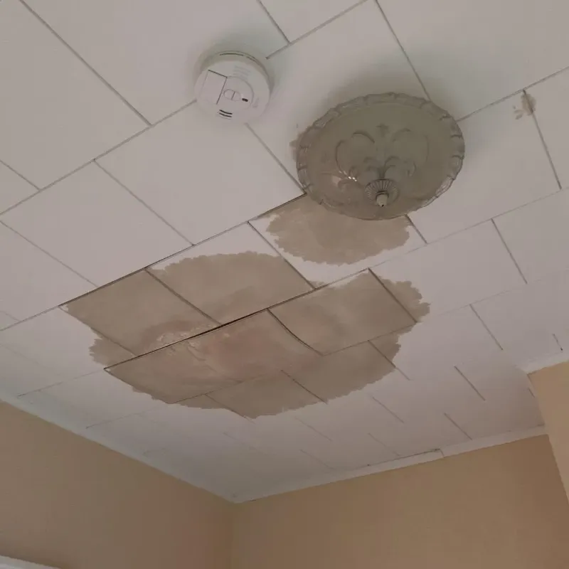 Ceiling Water Damage Repair in Parkside, PA