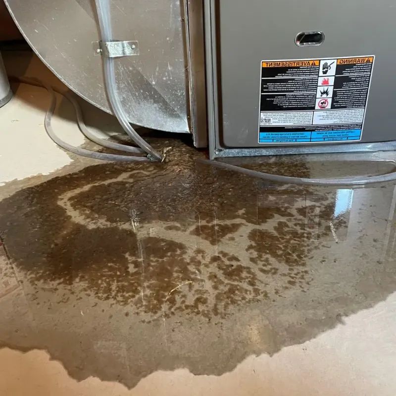 Pipe Burst and Leak Restoration in Parkside, PA